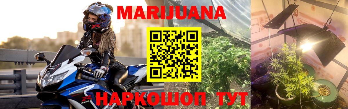 Каннабис ГИДРОПОН  Марихуана индика  Вход с VPN  Канабис марихуана  Бошки марихуана марихуана  Медногорск 